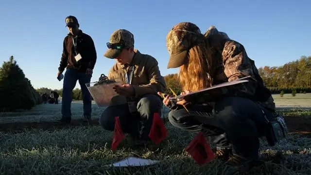 Что такое CDE FFA?