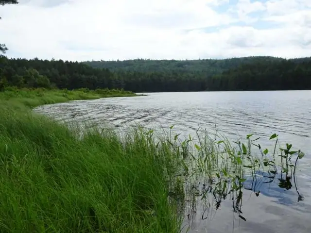 В каком округе находится Барри-Бэй?