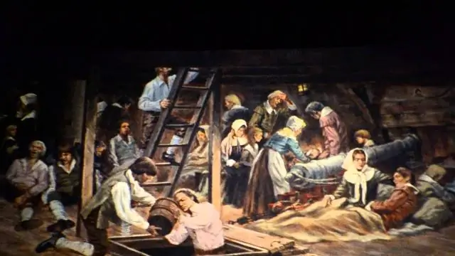 Как поживала жизнь на «Мэйфлауэр»?