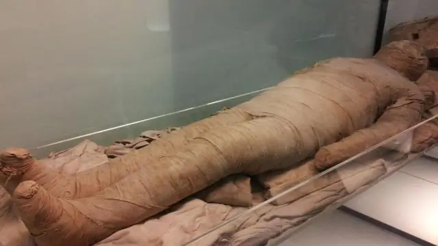 Как происходит процесс мумификации?