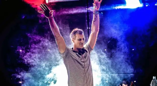 Диджеи артисты?