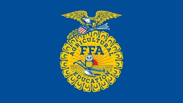 В чем смысл кредо FFA?