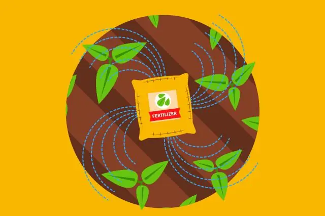 Какой фермент восстанавливает нитрат до нитрита?