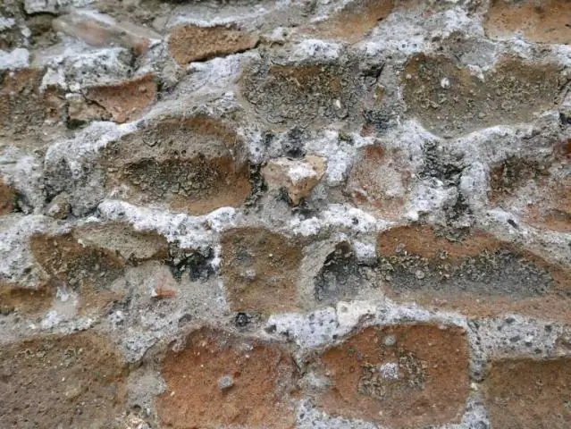 Что вызывает высолы в кирпичной кладке?
