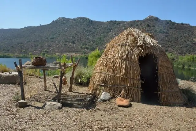 Что случилось с кумеяай?