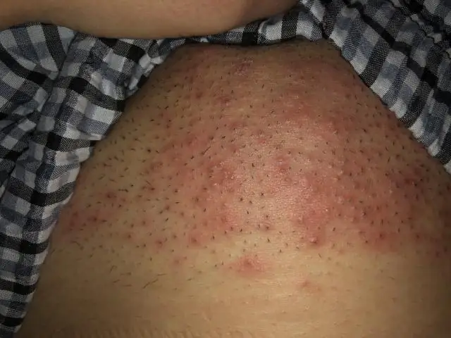 Что такое лист из хлопкового перкаля?