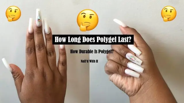 Как долго длится обучение в Калифорнийском университете в Беркли?