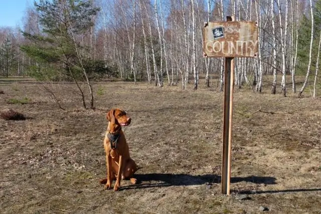 Можете ли вы сходить с тропы в национальных парках?