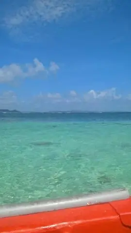 Ньюкасл - город вечеринок?