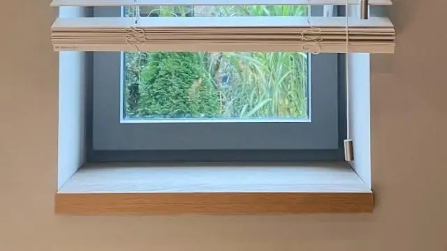 Сколько стоит превратить пепел в дерево?