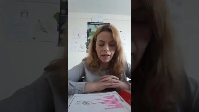 Чем сегодня заняться на Западе Вирджиния?