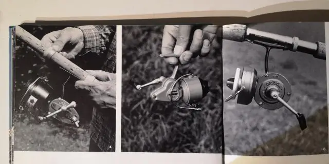 Марк Твен назвал два самых важных дня?