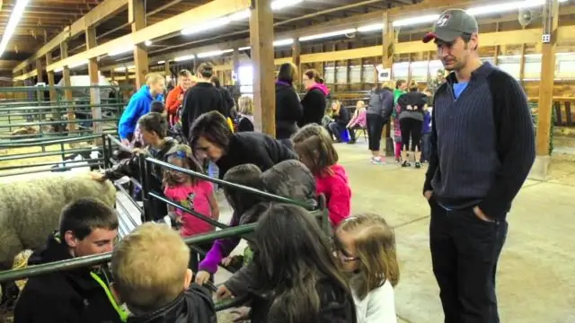 Что такое программа PALS в FFA?