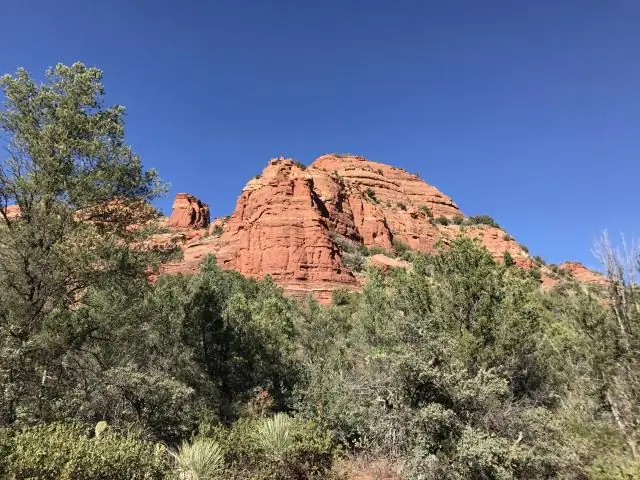 Насколько велик национальный лес Коконино?