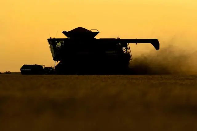 Почему бунты на качелях сломали молотилки?