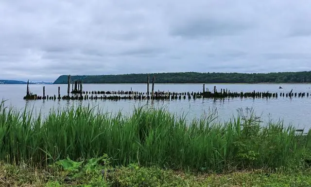 Что вы скажете солдату в День памяти?