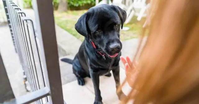 Как я могу повеселиться в январе?