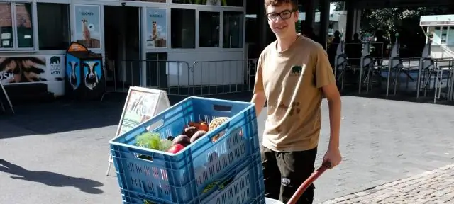 Что нужно делать, чтобы работать в зоопарке?