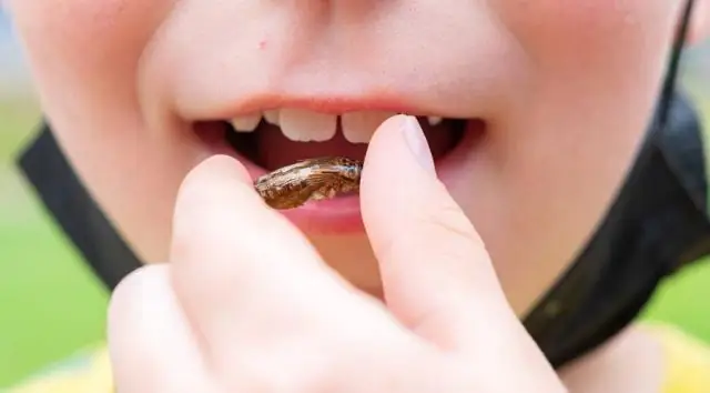 Какой вкус у Savannah Smiles?