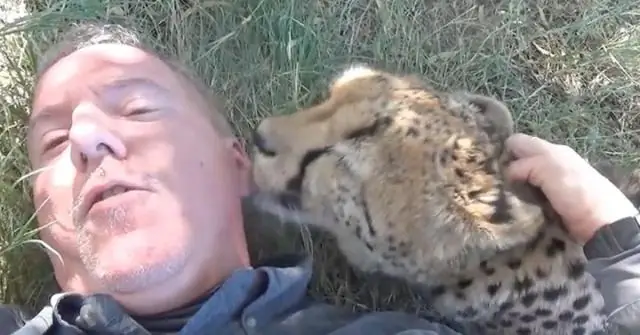 Что ставишь под дерево?