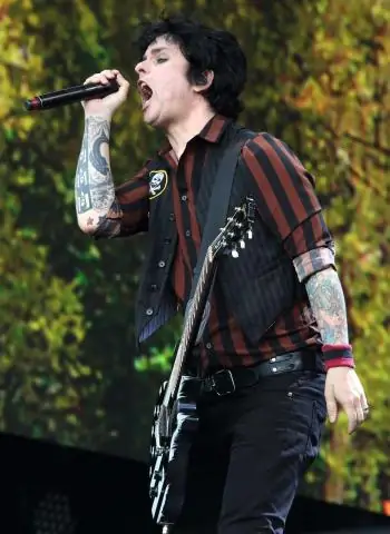 Каков собственный капитал Green Day?