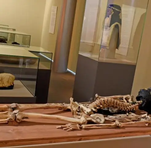 Почему фараонов хоронили вместе со своими сокровищами?