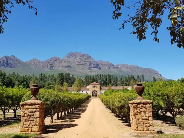 Где находится винодельческий регион Лоди?