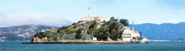 Где я могу увидеть дельфинов в Сан-Франциско?