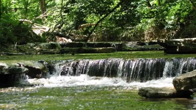 Есть ли в Индиане государственные парки или заповедники?