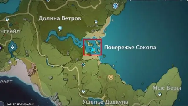 Где ты находишь каменных крабов?
