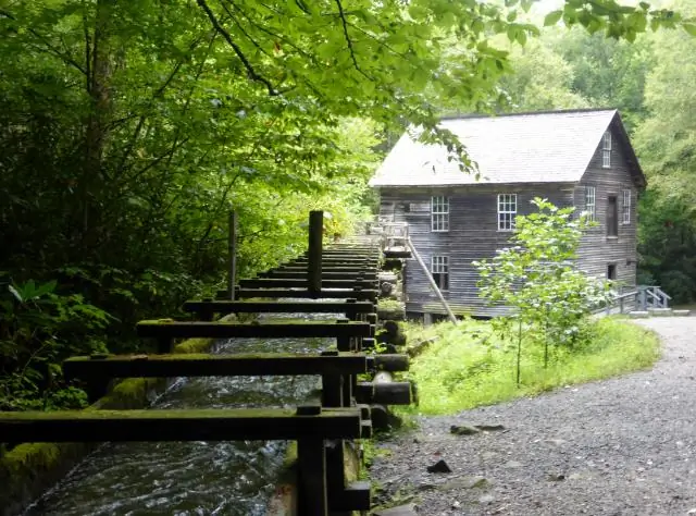 Сколько коренных американцев погибло в викторине "След слез"?