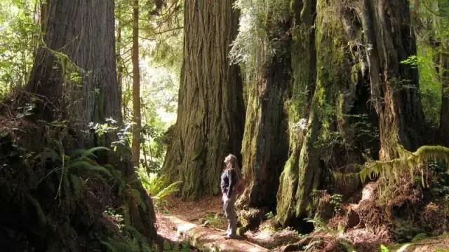 Чем славится Санта-Клара?