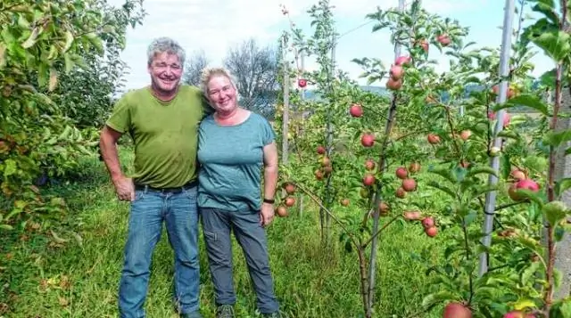 Вам нужны 2 липы для плодоношения?