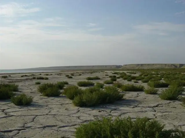 Почему так важно Аральское море?