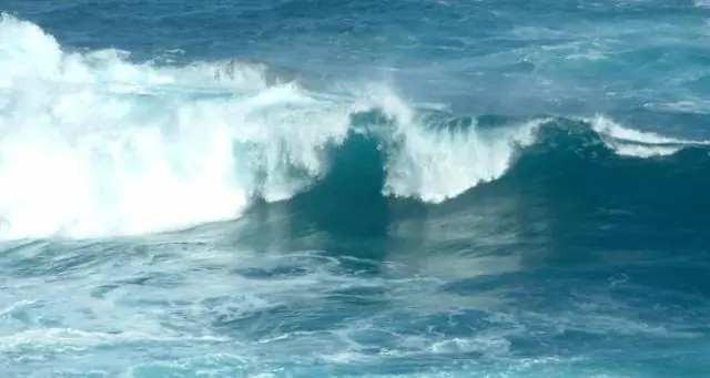 Почему закрылась Чи Чи?