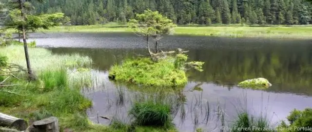 Как далеко SAP-центр находится от Сан-Франциско?