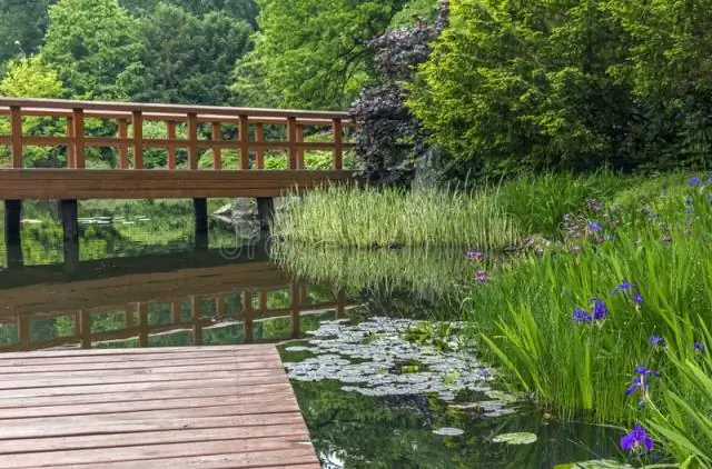 Цветут ли тюльпаны в парке Золотые ворота?