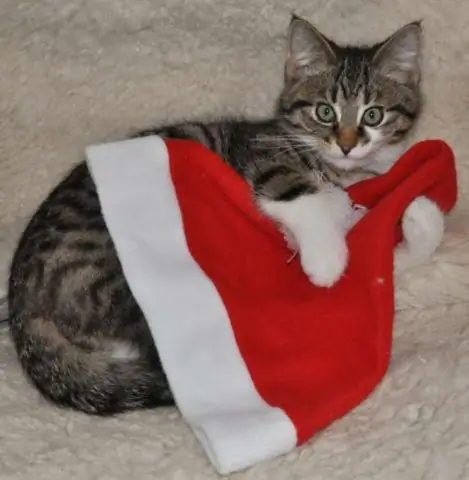 Какие праздники, кроме Рождества, отмечают в декабре?