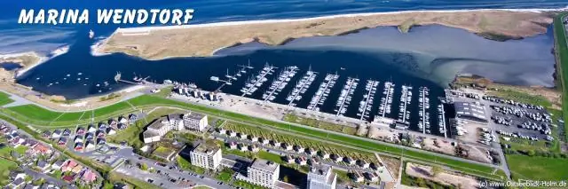 Где я могу увидеть бабочек в Калифорнии?