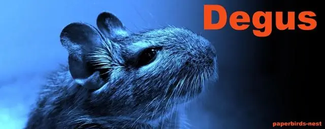 Почему у Иа отваливается хвост?