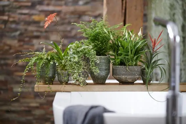 Как вы планируете идеальную вечеринку у бассейна?