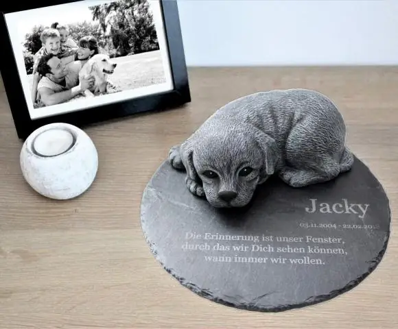 Как сделать мемориальный камень домашнему питомцу?