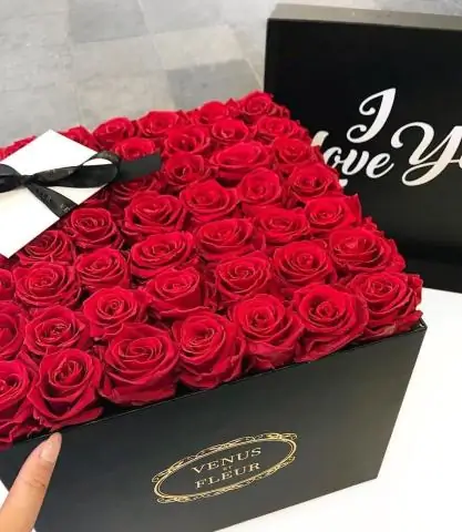 Что такое Венера и Флер?