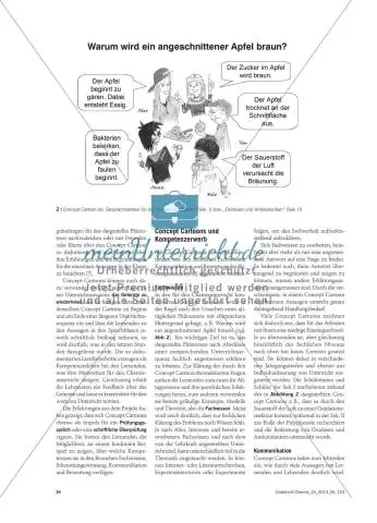 Почему гроб окропляют святой водой?