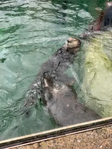 Сколько стоит билет в аквариум Монтерей-Бей?