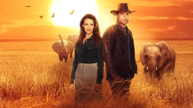 Почему мы используем сосны на Рождество?