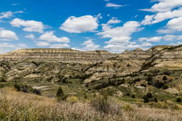 Каковы три основные части заявления о миссии FFA?