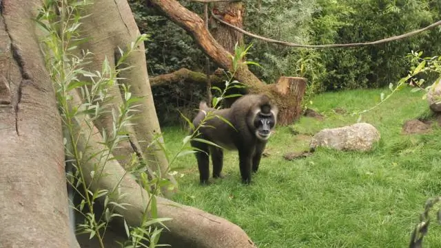 Что отмечают 15 марта?