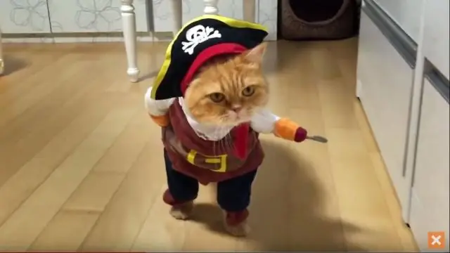 Как устроить веселую вечеринку на Хэллоуин?