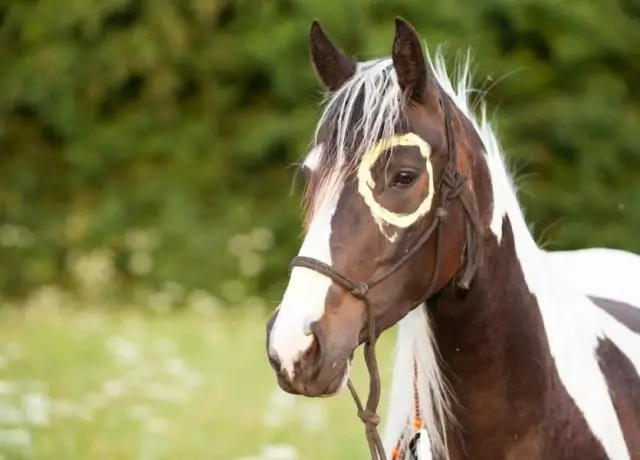 Как устроить пляжную вечеринку?